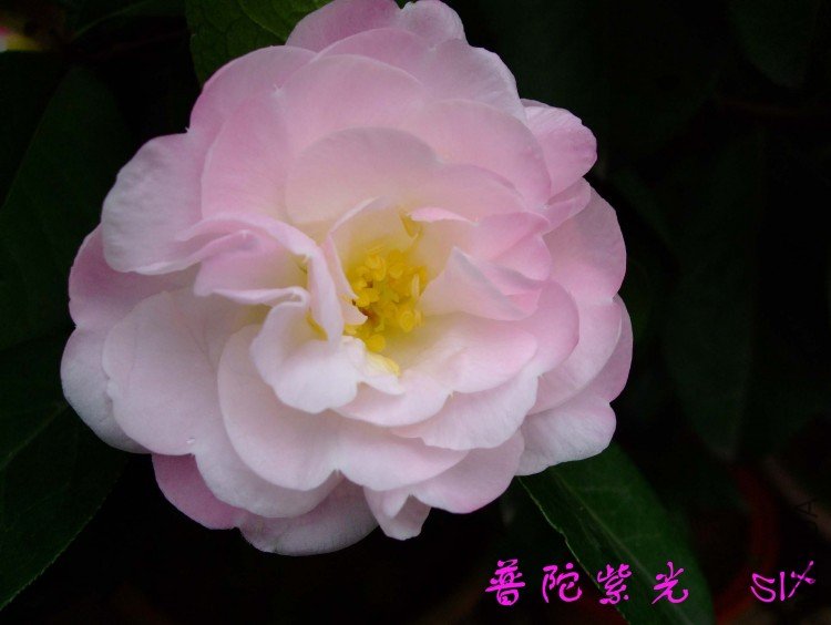 �����Ϲ�10-3-15 (4).jpg