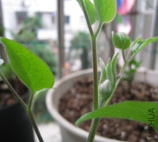 2010-03-14 �����˻���.jpg