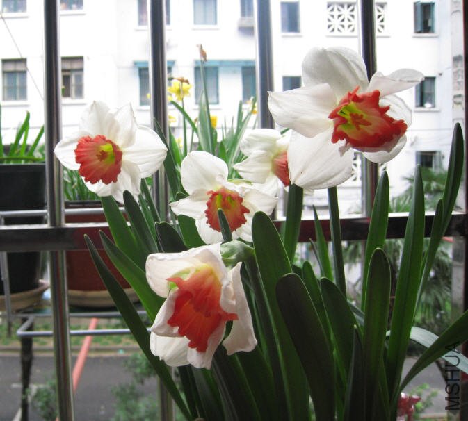 2010-03-14 ʢ���ķ�����.jpg