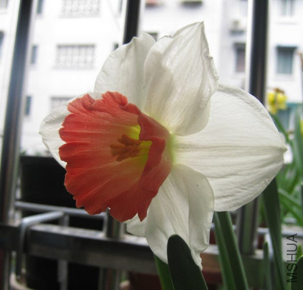 2010-03-14 ��������д.jpg