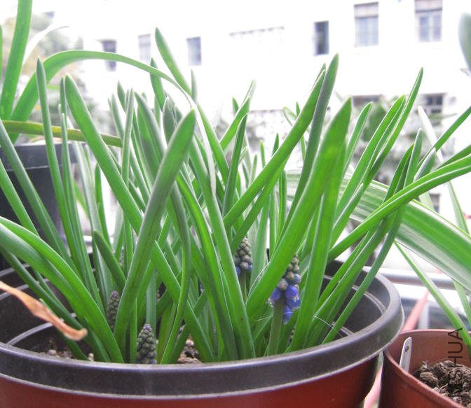 2010-03-13 ���ѷ�-�м�.jpg