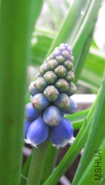 2010-03-14 ���ѷ�.jpg