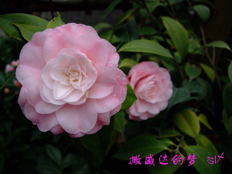 ��������� 10-3-15f(1).jpg