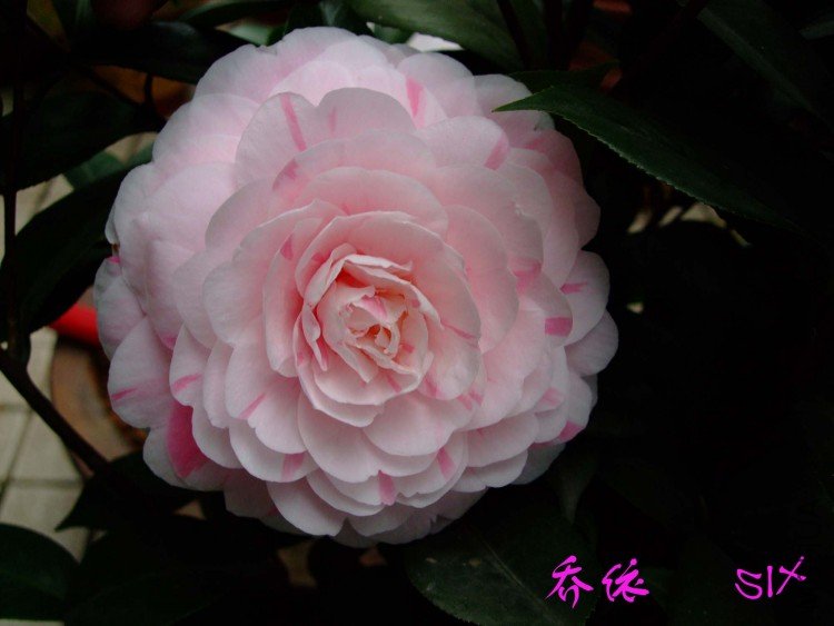 ���� 10-3-15f (3).jpg