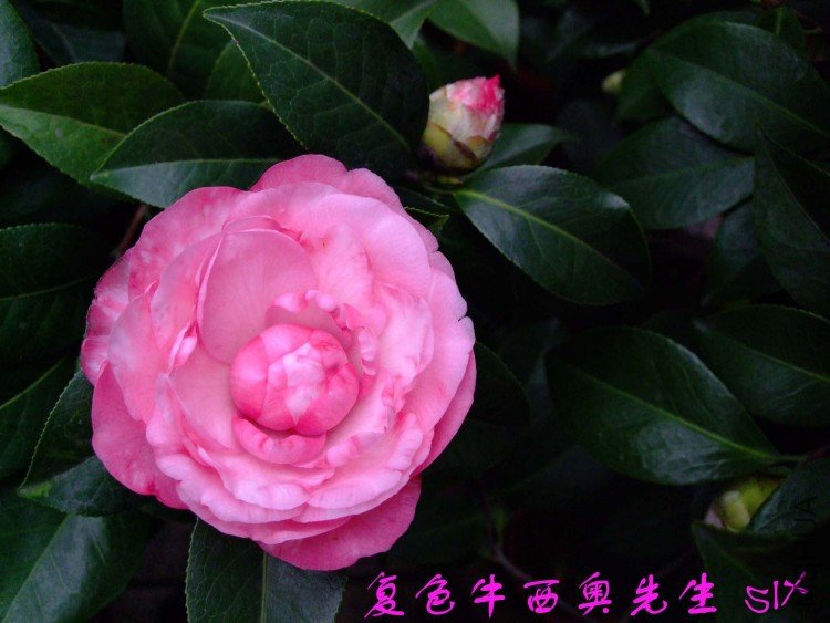 ţ�������� 10-3-15f (2).jpg