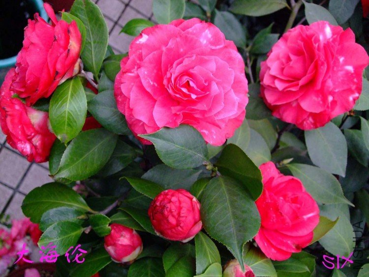 ���� 10-3-15f(1).jpg