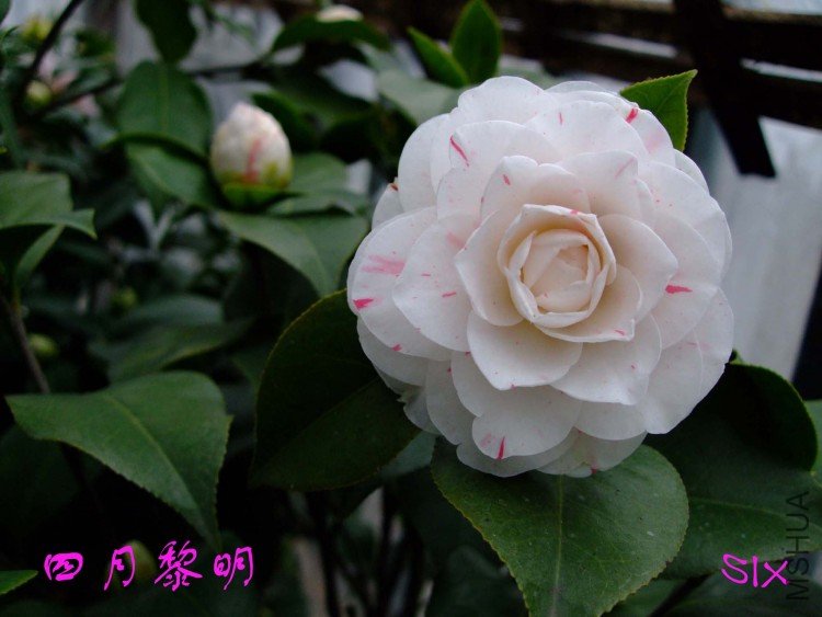 �������� 10-3-15f(1).jpg