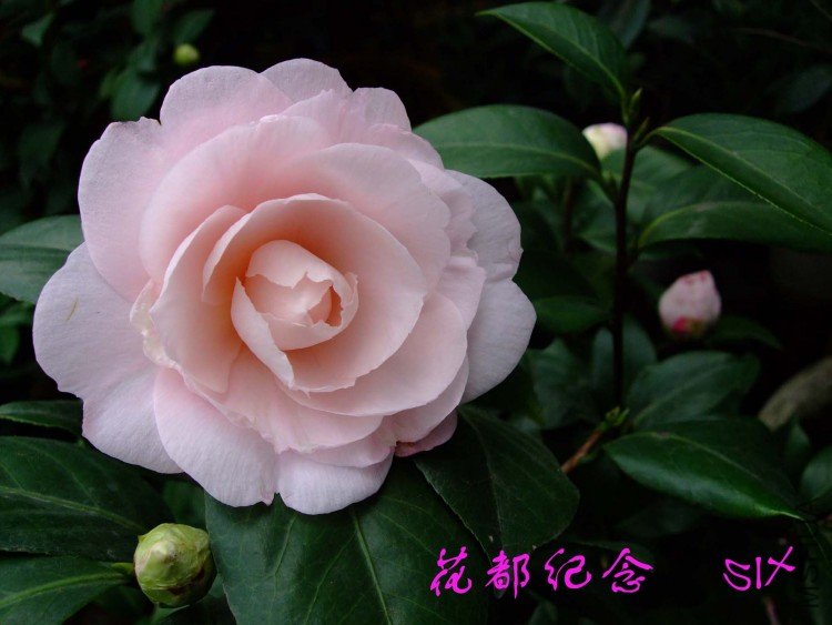 �������� 10-3-16f (2).jpg