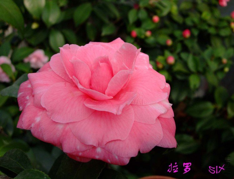 ���� 10-3-16f (1).jpg