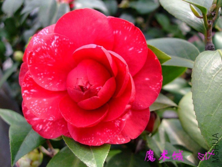 ħ����10-3-16f (1).jpg