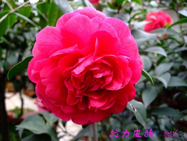 ����Ƥ��10-3-16f (1).jpg