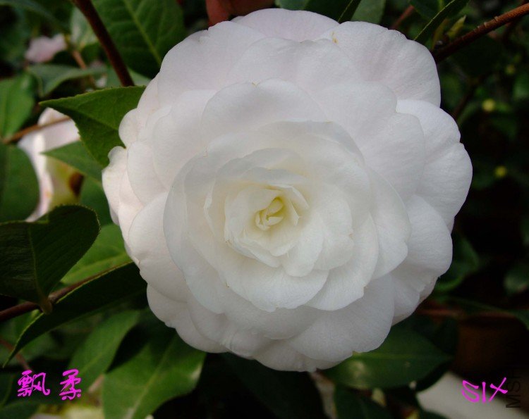 Ʈ��10-3-16f (2).jpg