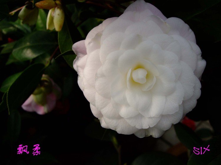 Ʈ��10-3-16f (1).jpg