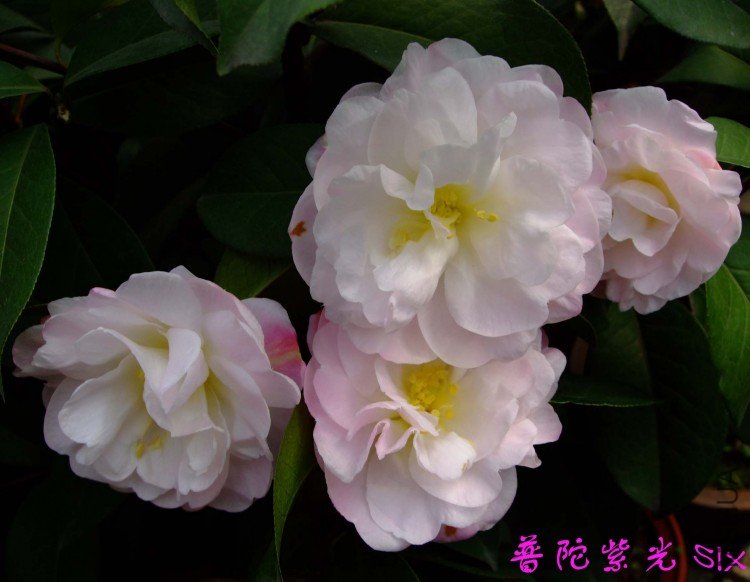 �����Ϲ�10-3-16f (1).jpg