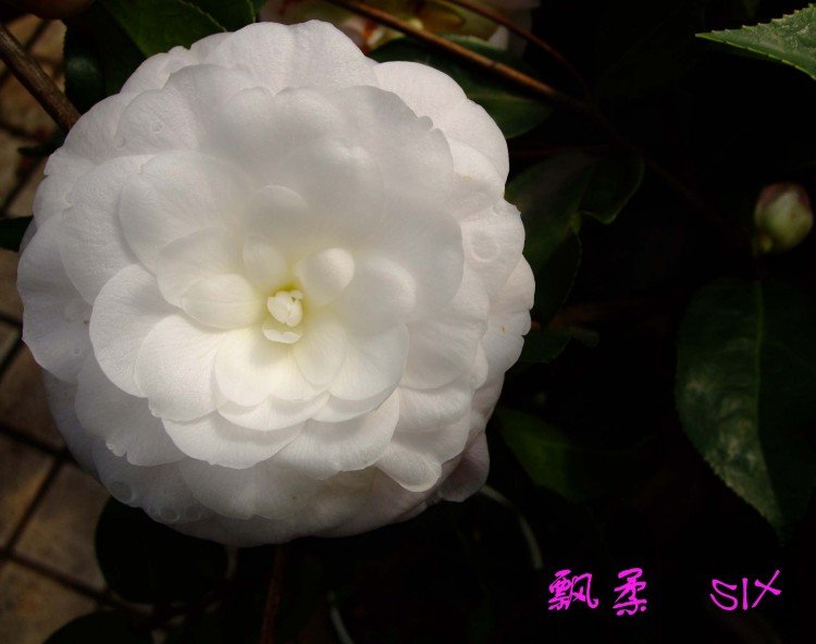 Ʈ��10-3-16f (3).jpg