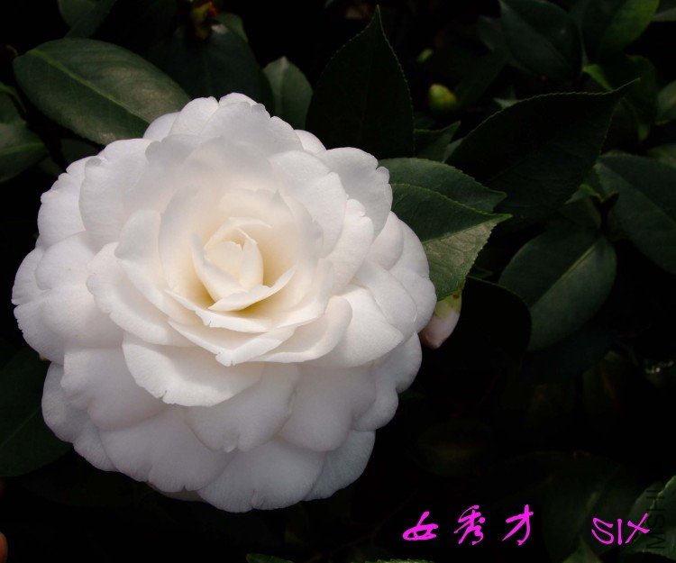 Ů���10-3-16f (1).jpg