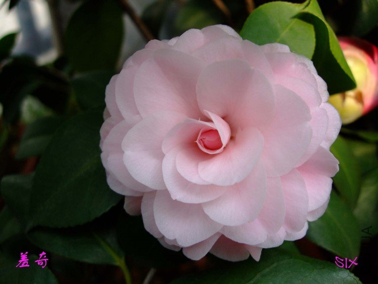 ����10-3-16f (1).jpg