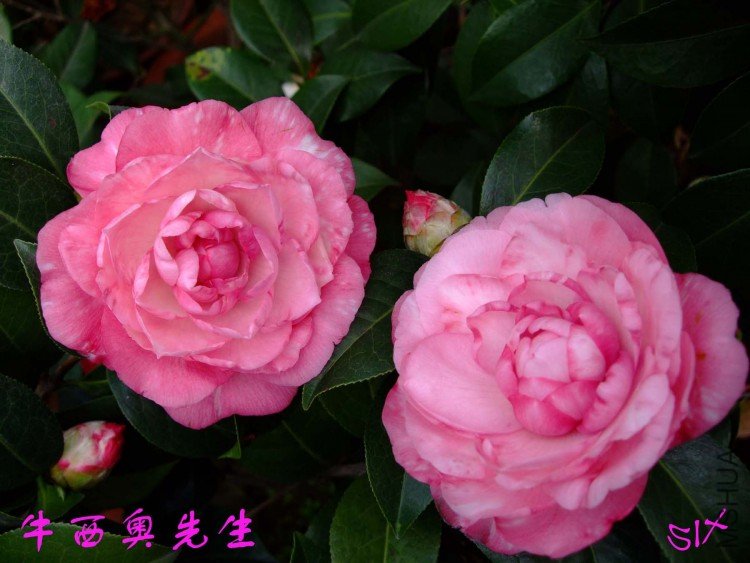 ţ��������10-3-16f (3).jpg