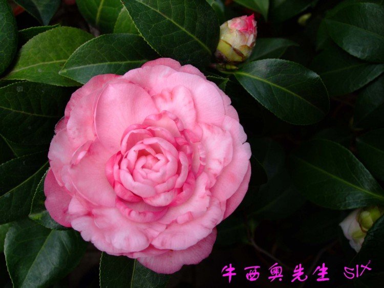 ţ��������10-3-16f (1).jpg