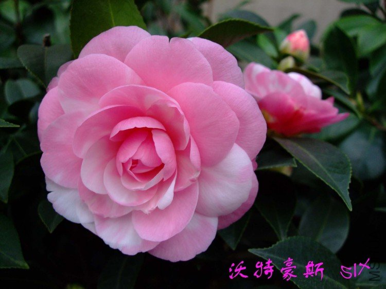 ���غ�˹10-3-16 (4).jpg