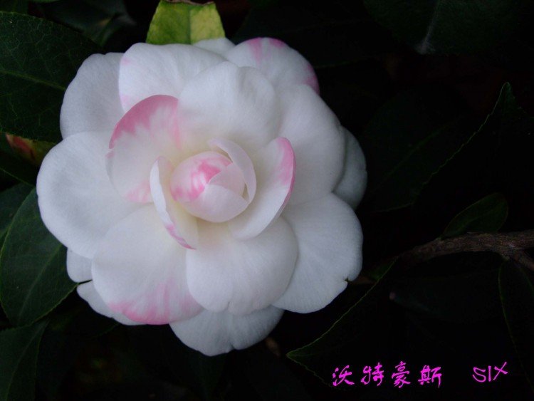 ���غ�˹10-3-16 (3).jpg