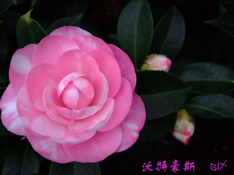 ���غ�˹10-3-16 (6).jpg