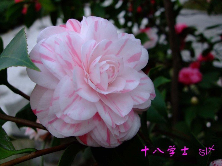 ʮ��ѧʿ10-3-16 (3).jpg