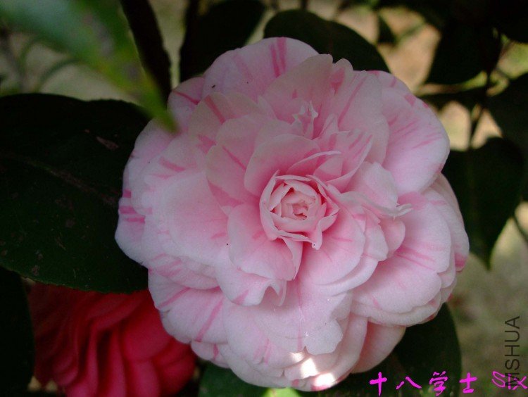 ʮ��ѧʿ10-3-16 (6).jpg