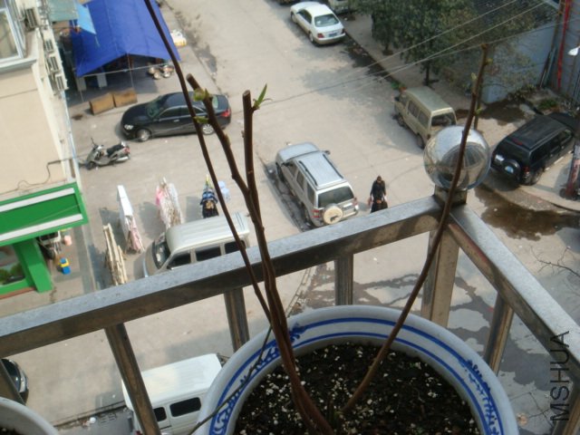 DSC01432.JPG