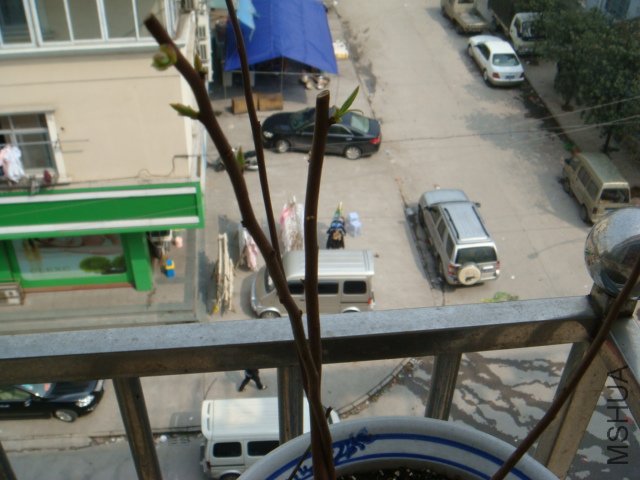 DSC01437.JPG