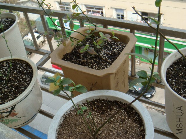 DSC01435.JPG
