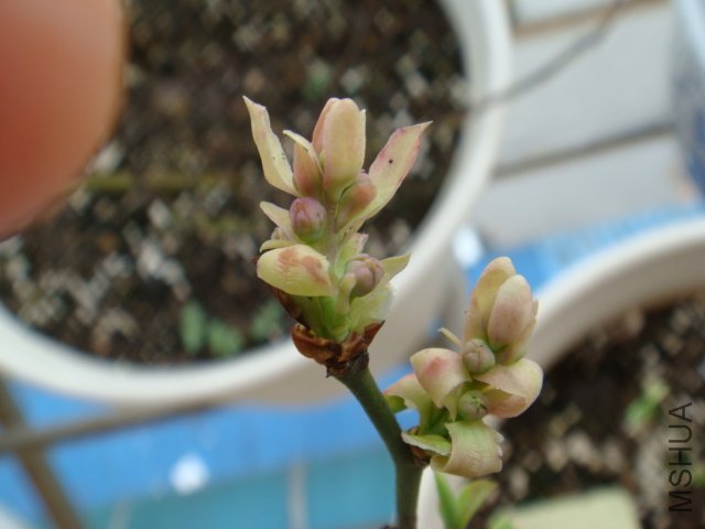 DSC01429.JPG