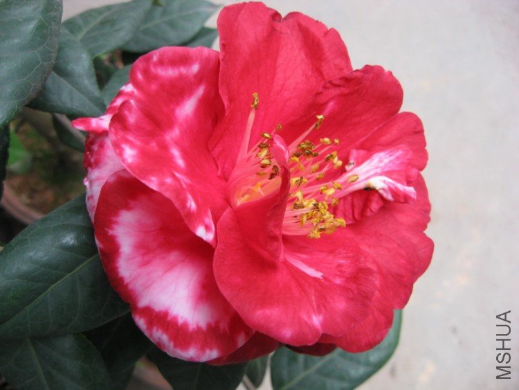 �����¹������Ĳ��á�