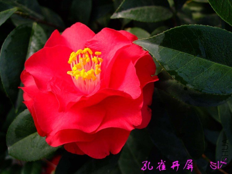 ���ȸ����10-3-17 (1).jpg