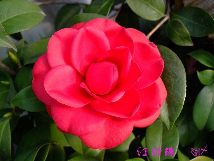 ������10-3-17 (1).jpg