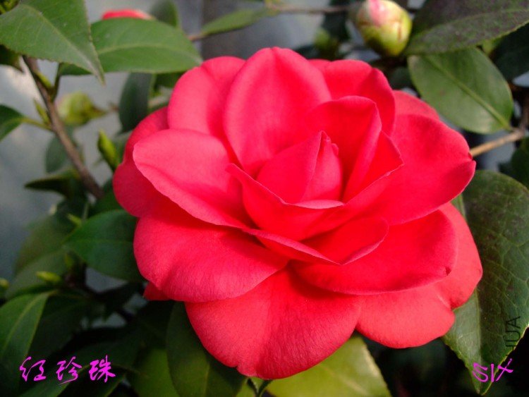 ������10-3-17 (2).jpg