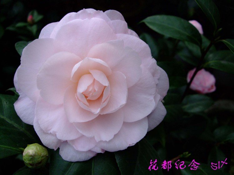 ��������10-3-17 (1).jpg