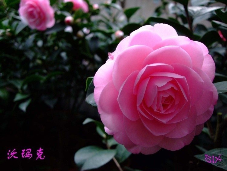 ����� 10-3-17 (2).jpg