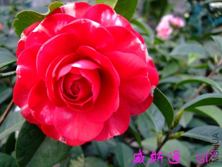 ��˹ͨ 10-3-17 (1).jpg