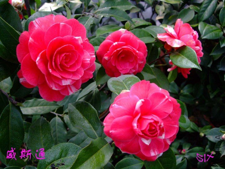 ��˹ͨ 10-3-17 (2).jpg