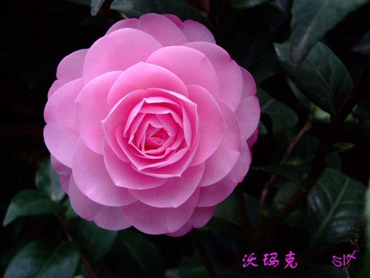 ����� 10-3-17 (1).jpg