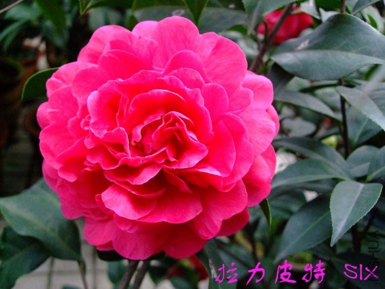 ����Ƥ��10-3-17 (1).jpg