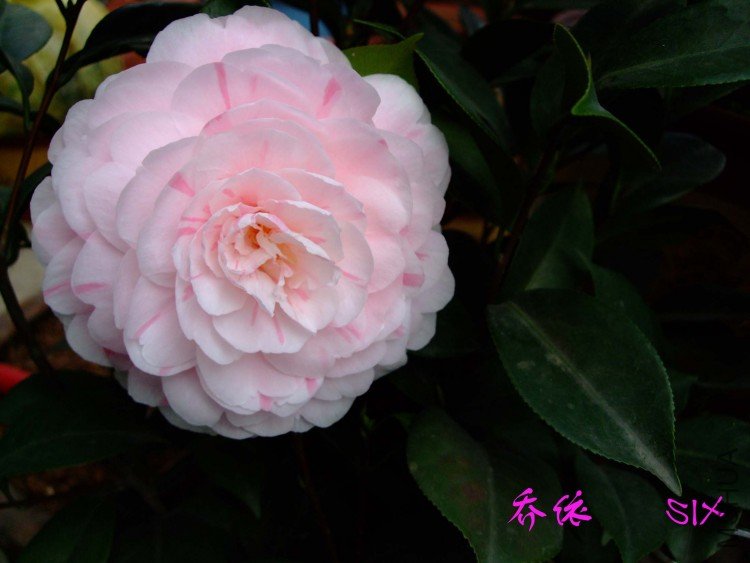 ����10-3-17 (1).jpg