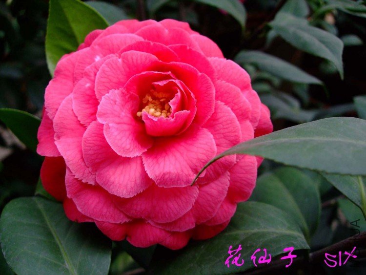 ������10-3-17 (1).jpg