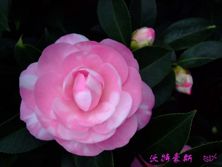 ���غ�˹10-3-17 (3).jpg