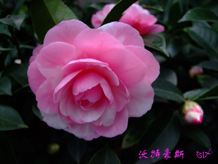 ���غ�˹10-3-17 (2).jpg