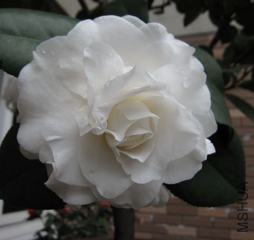 2010.2-15 152.jpg