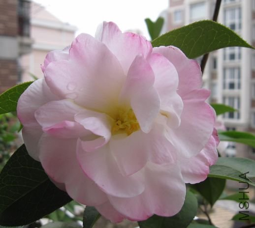 2010.2-15 170.jpg