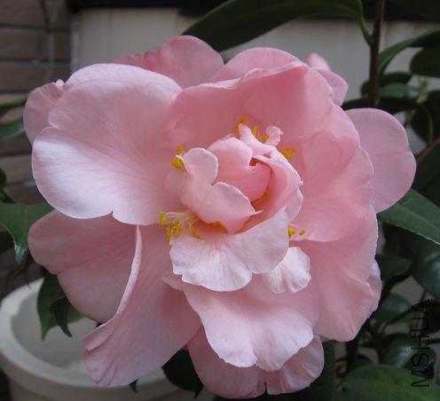 2010.2-15 178.jpg