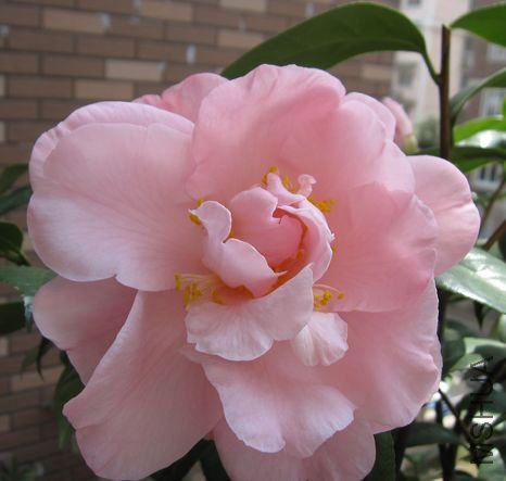 2010.2-15 189.jpg
